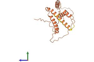 AlphaFold protein structure predicition of Human Recombinant IDI2-AS1 Protein, UniprotID Q9NZ38
