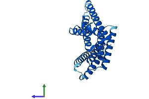 Protein Structure (PS) image for 14-3-3 alpha + beta (YWHAB) (AA 1-246) protein (His tag) (ABIN7560582)