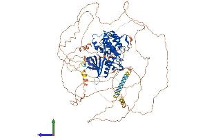 Protein Structure (PS) image for AP2 associated kinase 1 (AAK1) (AA 1-959) protein (His tag) (ABIN7563720)