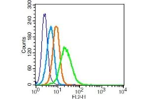 Human U937 cells probed with 	LRP1/CD91 Polyclonal Antibody, Unconjugated  at 1:100 for 30 minutes followed by incubation with a PE conjugated secondary (green) for 30 minutes compared to control cells (blue), secondary only (light blue) and isotype control (orange). (LRP1 抗体  (AA 4451-4545))