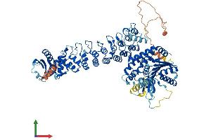 Protein Structure (PS) image for Phospholipase A2, Group VI (Cytosolic, Calcium-Independent) (PLA2G6) (AA 1-807) protein (His tag) (ABIN7563567)