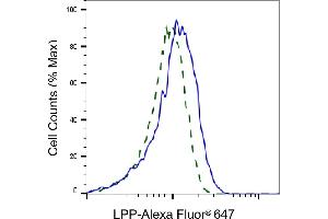 Validation of LPP knockdown using flow cytometry. (Recombinant LPP 抗体)