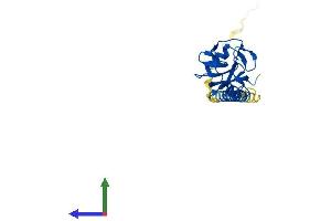 Protein Structure (PS) image for C-Type Lectin Domain Family 2, Member D (CLEC2D) (AA 1-191) protein (His tag) (ABIN7546631)