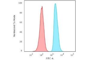 Flow Cytometric Analysis of HeLa cells using APEX Nuclease I Mouse Monoclonal Antibody (CPTC-APEX1-2). (SHP1 抗体)