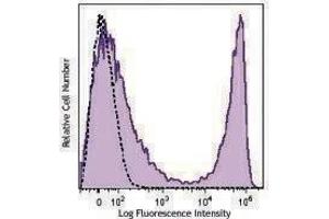 Flow Cytometry (FACS) image for anti-CD90.2 / Thy-1.2 antibody (PerCP-Cy5.5) (ABIN2660168) (CD90.2 / Thy-1.2 抗体  (PerCP-Cy5.5))
