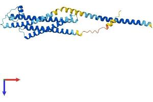 STX1A Protein (AA 1-288) (His tag)