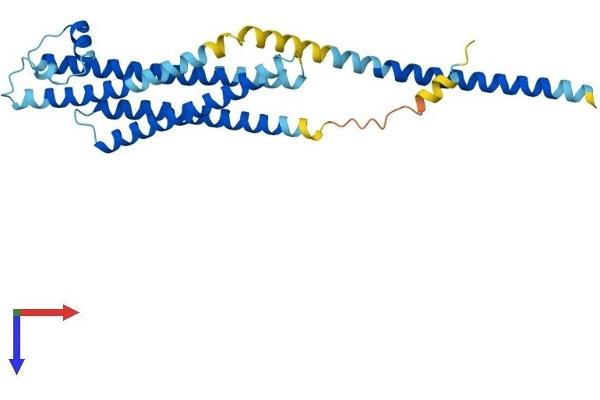 STX1A Protein (AA 1-288) (His tag)