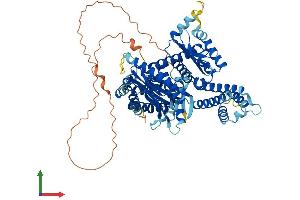 AlphaFold protein structure predicition of Mouse Recombinant Hps1 Protein, UniprotID O08983
