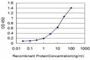 Detection limit for recombinant GST tagged HOXA11 is approximately 0. (Homeobox A11 抗体  (AA 60-166))