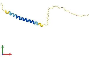 Protein Structure (PS) image for Adipogenin (ADIG) (AA 1-80) protein (Fc Tag) (ABIN7559752)