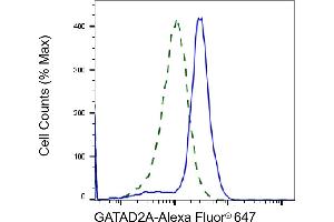 Validation of GATAD2A knockdown using flow cytometry. (Recombinant GATAD2A 抗体)