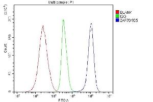Flow Cytometry analysis of Jurkat cells using anti- ZAP70 antibody (ABIN7602981). (ZAP70 抗体  (Middle Region))
