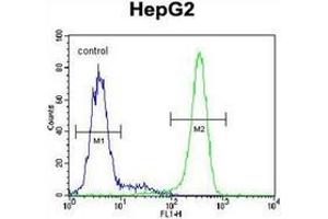 Flow Cytometry (FACS) image for anti-KIAA0090 (KIAA0090) (AA 873-902), (C-Term) antibody (ABIN953037)