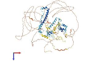 Zinc Finger, ZZ-Type Containing 3 (ZZZ3) (AA 1-903) protein (His tag)