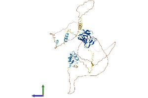 Protein Structure (PS) image for Aprataxin and PNKP Like Factor (APLF) (AA 1-511) protein (His tag) (ABIN7552132)