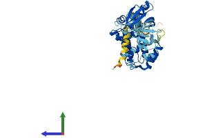 Protein Structure (PS) image for Cytohesin 1 (CYTH1) (AA 1-398) protein (His tag) (ABIN7561739)