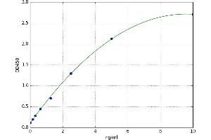 A typical standard curve