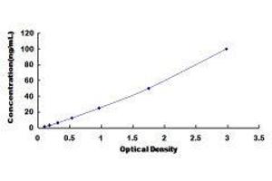 ELISA image for Arylformamidase (AFMID) ELISA Kit (ABIN1169613)