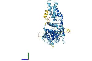 Protein Structure (PS) image for Origin Recognition Complex, Subunit 5 (ORC5) (AA 1-435) protein (His tag) (ABIN7550114)