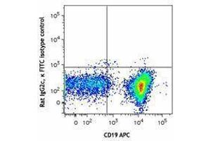 Flow Cytometry (FACS) image for anti-Lymphocyte Antigen 6 Complex, Locus D (LY6D) antibody (FITC) (ABIN2661969) (LY6D 抗体  (FITC))