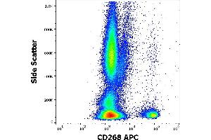 Flow cytometry surface staining pattern of human peripheral whole blood stained using anti-human CD268 (11C1) APC antibody (4 μL reagent / 100 μL of peripheral whole blood). (TNFRSF13C 抗体  (APC))