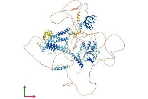 Protein Structure (PS) image for Potassium Voltage-Gated Channel, Subfamily H (Eag-Related), Member 7 (KCNH7) (AA 1-1195) protein (His tag) (ABIN7565043)