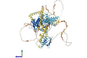 Protein Structure (PS) image for Kinesin Family Member 1C (KIF1C) (AA 1-1100) protein (His tag) (ABIN7562261)