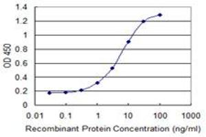 Detection limit for recombinant GST tagged TRIM72 is 0. (TRIM72 抗体  (AA 378-477))