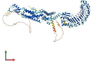 AlphaFold protein structure predicition of Human Recombinant LRRC8D Protein, UniprotID Q7L1W4