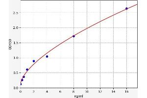 SEMA3G ELISA 试剂盒