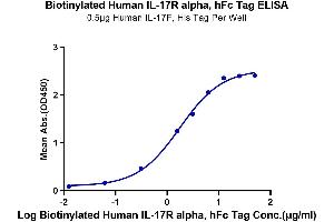 ELISA image for Interleukin 17 Receptor A (IL17RA) protein (Fc-Avi Tag,Biotin) (ABIN7274907)