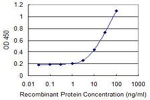 Detection limit for recombinant GST tagged HOXB9 is 1 ng/ml as a capture antibody. (HOXB9 抗体  (AA 65-163))