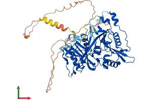 Protein Structure (PS) image for N-Myristoyltransferase 2 (NMT2) (AA 1-529) protein (His tag) (ABIN7562535)