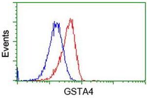 Flow cytometric Analysis of Hela cells, using anti-GSTA4 antibody (ABIN2453091), (Red), compared to a nonspecific negative control antibody (TA50011), (Blue). (GSTA4 抗体)