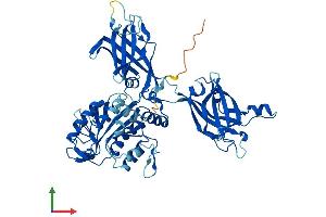 Protein Structure (PS) image for Copine I (CPNE1) (AA 1-536) protein (His tag) (ABIN7564495)