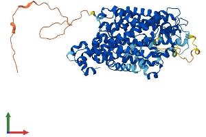 Protein Structure (PS) image for Solute Carrier Family 6 (Neurotransmitter Transporter, Noradrenalin), Member 2 (SLC6A2) (AA 1-617) protein (His tag) (ABIN7562494)