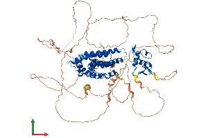 Protein Structure (PS) image for Nuclear Receptor Subfamily 3, Group C, Member 1 (Glucocorticoid Receptor) (NR3C1) (AA 1-777) protein (His tag) (ABIN7553992)