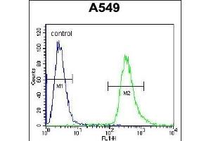 HSP90B1 Antibody (Center) (ABIN655868 and ABIN2845274) flow cytometric analysis of A549 cells (right histogram) compared to a negative control cell (left histogram).