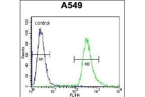 HSP90B1 Antibody (Center) (ABIN655868 and ABIN2845274) flow cytometric analysis of A549 cells (right histogram) compared to a negative control cell (left histogram). (GRP94 抗体  (AA 460-487))