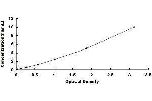 LUC7-Like 3 (LUC7L3) ELISA Kit