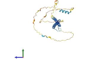 Protein Structure (PS) image for Achaete-Scute Complex Homolog 2 (ASCL2) (AA 1-263) protein (His tag) (ABIN7562381)