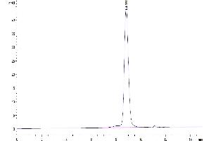 Size-exclusion chromatography-High Pressure Liquid Chromatography (SEC-HPLC) image for CD274 (PD-L1) (AA 19-238) protein (His tag,Biotin) (ABIN7275436)