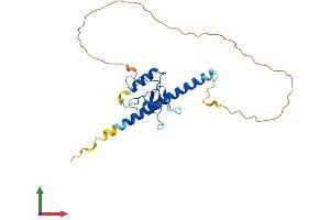 Protein Structure (PS) image for THAP Domain Containing, Apoptosis Associated Protein 3 (THAP3) (AA 1-239) protein (His tag) (ABIN7544404)