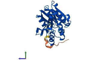 Protein Structure (PS) image for Family With Sequence Similarity 119A (FAM119A) (AA 1-218) protein (His tag) (ABIN7560554)