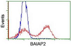 HEK293T cells transfected with either RC214570 overexpress plasmid (Red) or empty vector control plasmid (Blue) were immunostained by anti-BAIAP2 antibody (ABIN2454654), and then analyzed by flow cytometry. (BAIAP2 抗体)