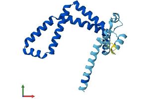 Protein Structure (PS) image for ADP-Ribosylation-Like Factor 6 Interacting Protein 5 (Arl6ip5) (AA 1-188) protein (His tag) (ABIN7550955)