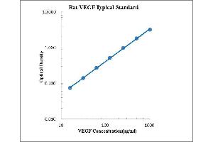 ELISA image for Vascular Endothelial Growth Factor (VEGF) ELISA Kit (ABIN2472113) (VEGF ELISA 试剂盒)