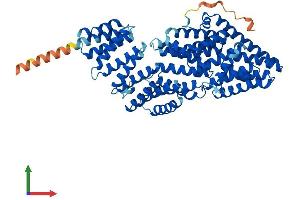 Protein Structure (PS) image for MAU2 Sister Chromatid Cohesion Factor (MAU2) (AA 1-613) protein (His tag) (ABIN7545858)