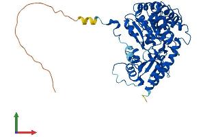 Protein Structure (PS) image for Cysteine Conjugate-beta Lyase 2 (CCBL2) (AA 1-455) protein (His tag) (ABIN7558158)