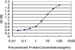 Detection limit for recombinant GST tagged IL17B is approximately 0. (IL17B 抗体  (AA 23-122))